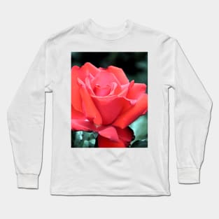 Orange Rose Bloom Long Sleeve T-Shirt